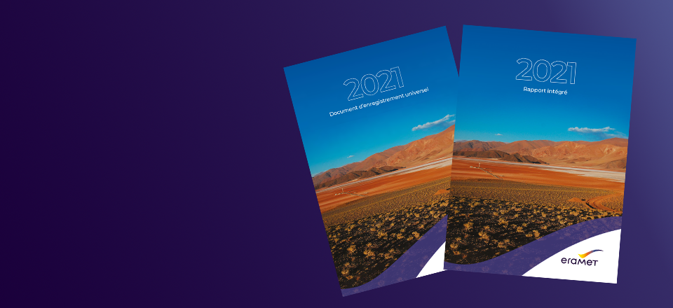 rapport intégré 2021