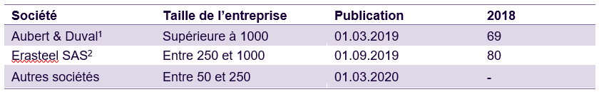 Tableau index égalité Femmes-Hommes