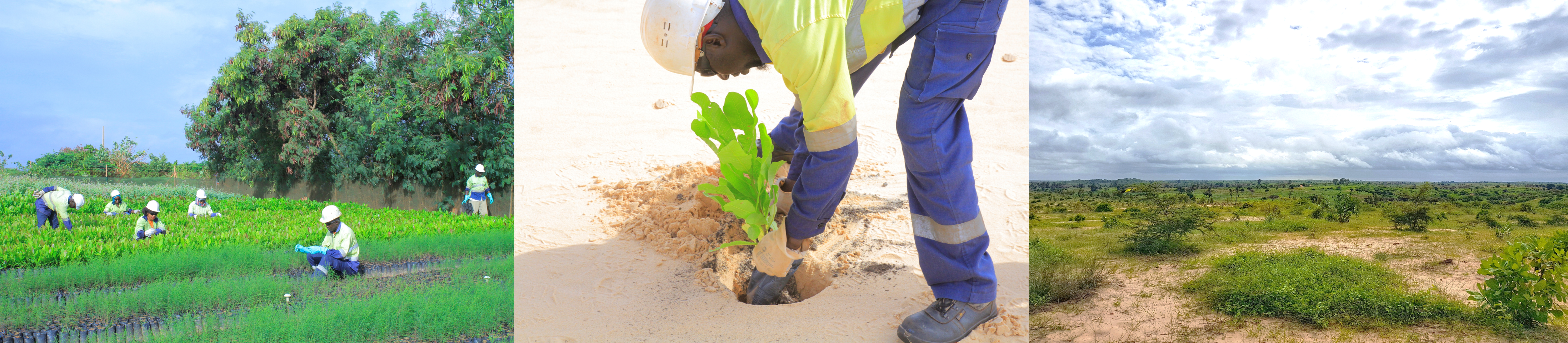 Mission GCO Restitution des terres