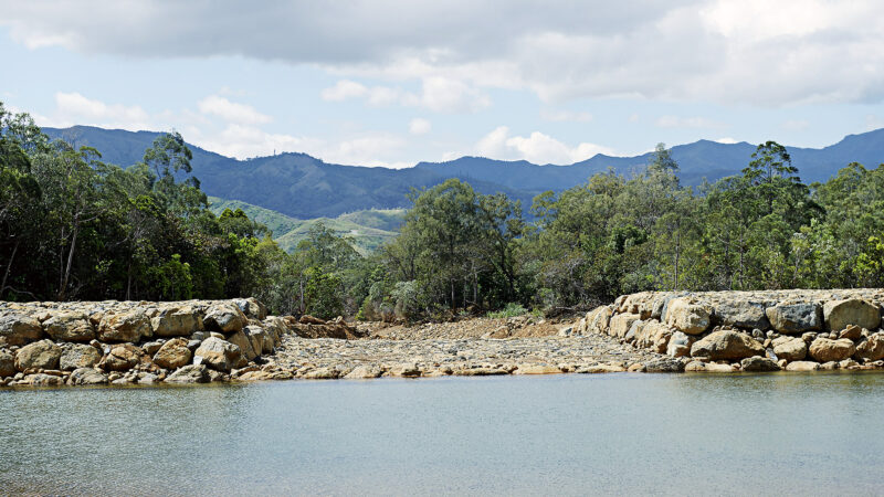 Femmes d'Avenir - Gabon